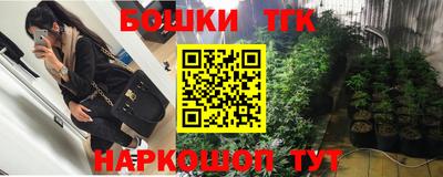 индика Пушкино