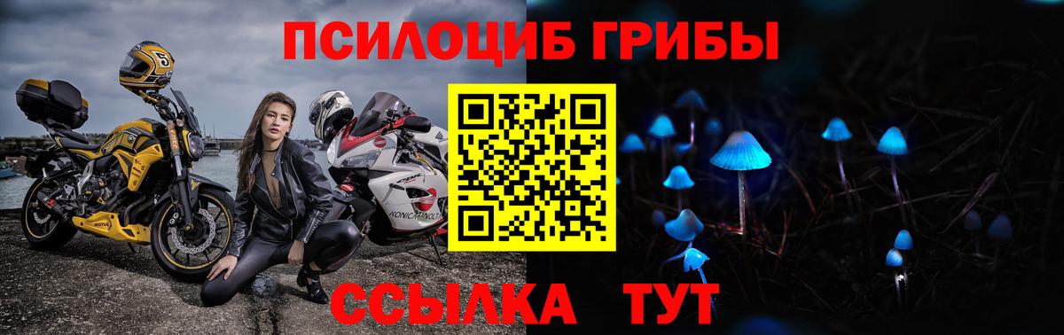 Галлюциногенные грибы Cubensis Острогожск