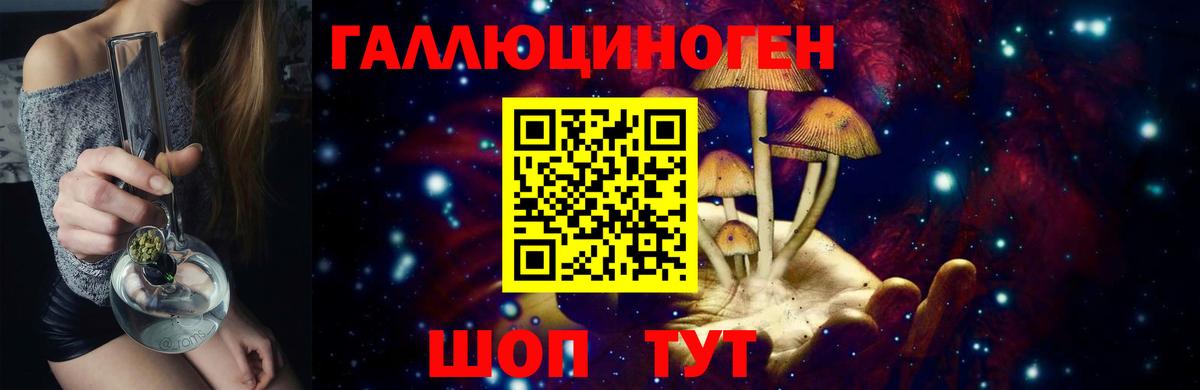 купить наркоту  Вход с VPN  Острогожск  Псилоцибиновые грибы GOLDEN TEACHER 